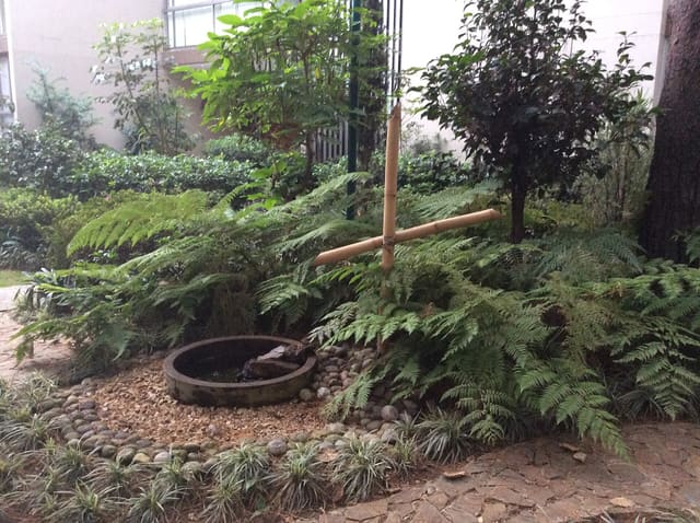Hardscaping — Patios & Walkways